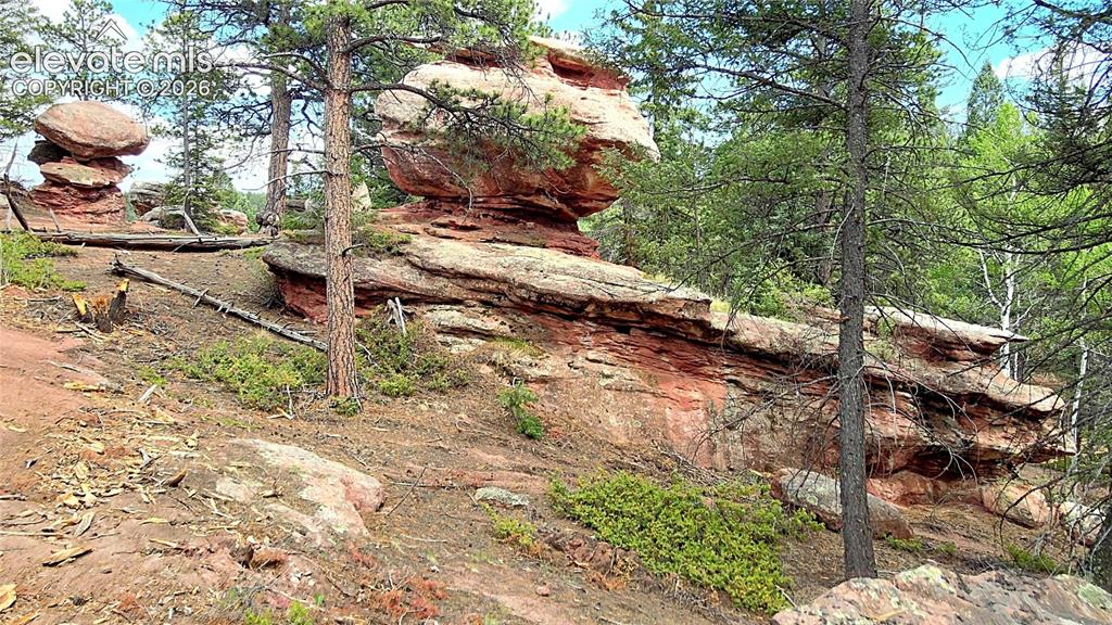 584 Sourdough Road Woodland Park CO 80863