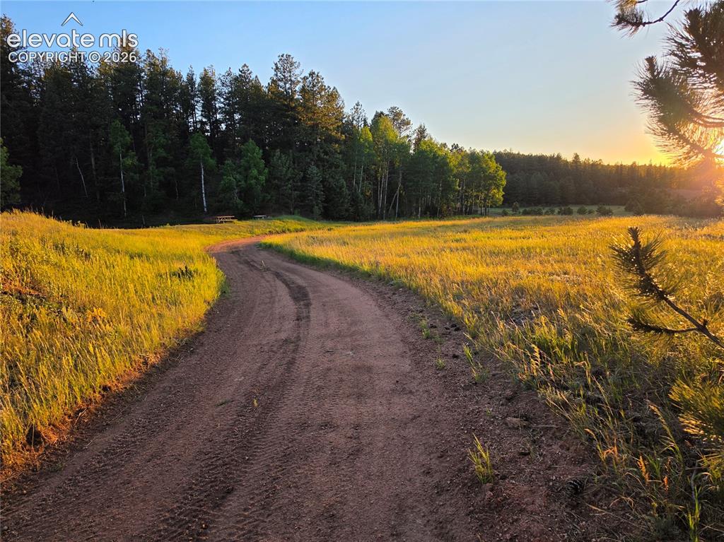 584 Sourdough Road Woodland Park CO 80863