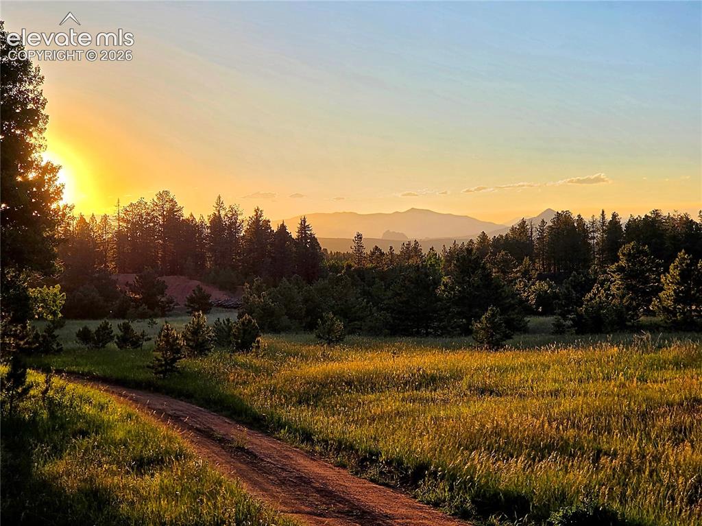 584 Sourdough Road Woodland Park CO 80863
