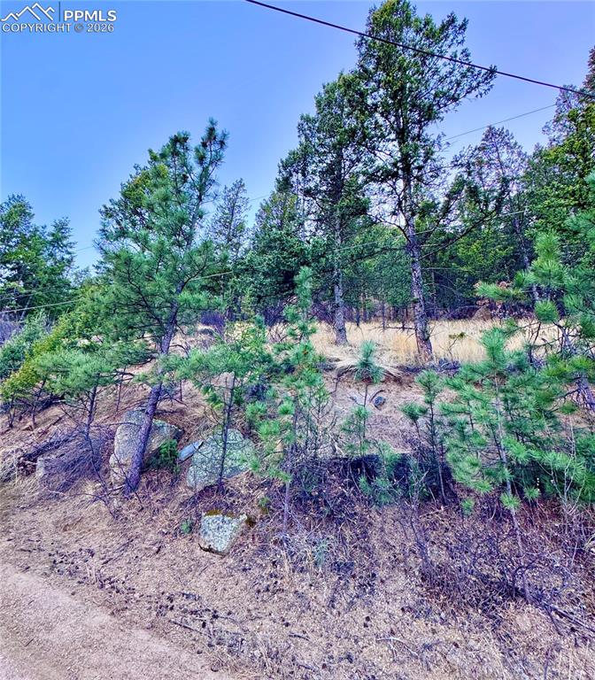 Lot 13 Harrison Street Green Mountain Falls CO 80819