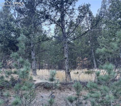 Lot 13 Harrison Street Green Mountain Falls CO 80819