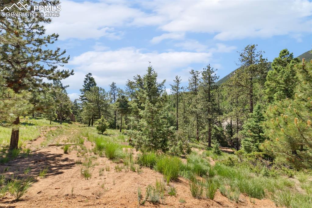 6050 Coffee Pot Road Manitou Springs CO 80829