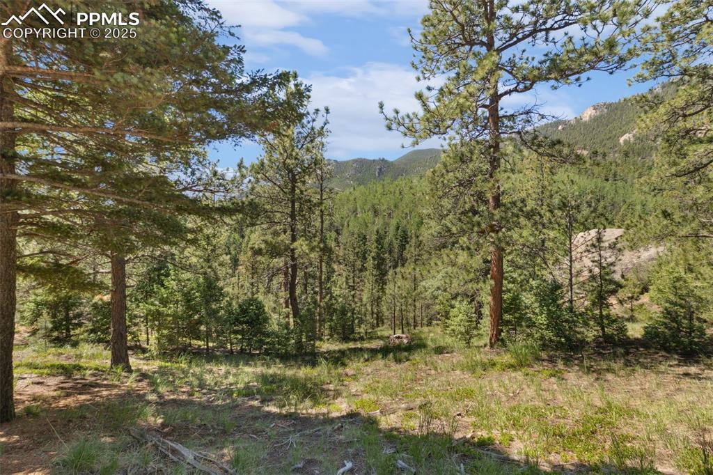 6050 Coffee Pot Road Manitou Springs CO 80829