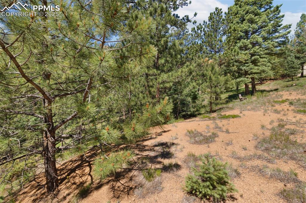 6050 Coffee Pot Road Manitou Springs CO 80829