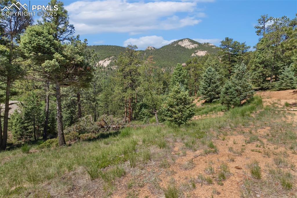 6050 Coffee Pot Road Manitou Springs CO 80829