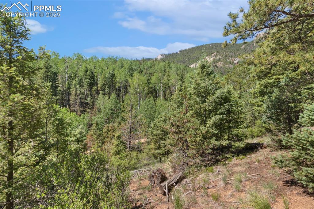 6050 Coffee Pot Road Manitou Springs CO 80829