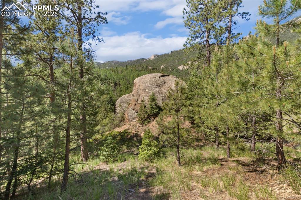 6050 Coffee Pot Road Manitou Springs CO 80829