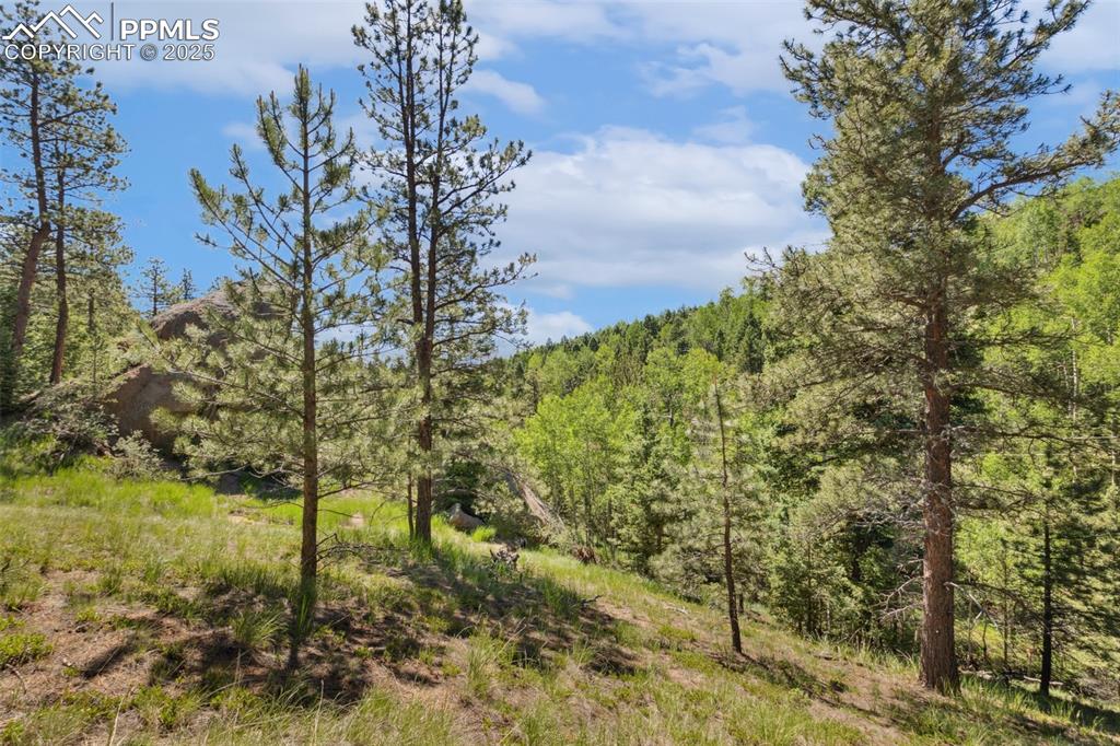6050 Coffee Pot Road Manitou Springs CO 80829