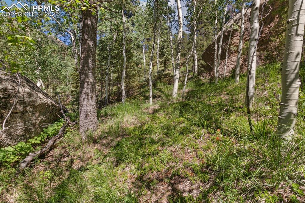 6050 Coffee Pot Road Manitou Springs CO 80829