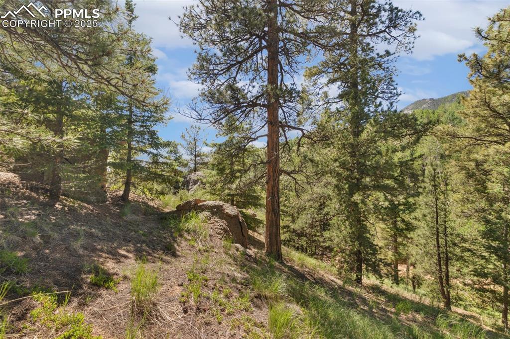 6050 Coffee Pot Road Manitou Springs CO 80829