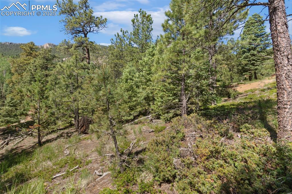 6050 Coffee Pot Road Manitou Springs CO 80829