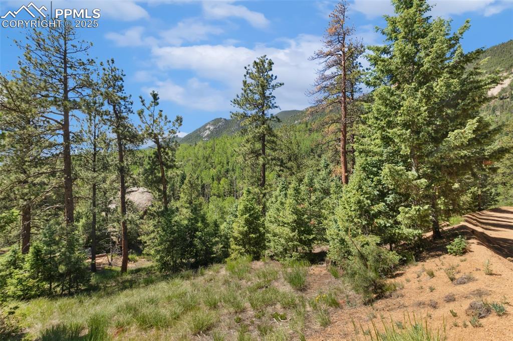 6050 Coffee Pot Road Manitou Springs CO 80829