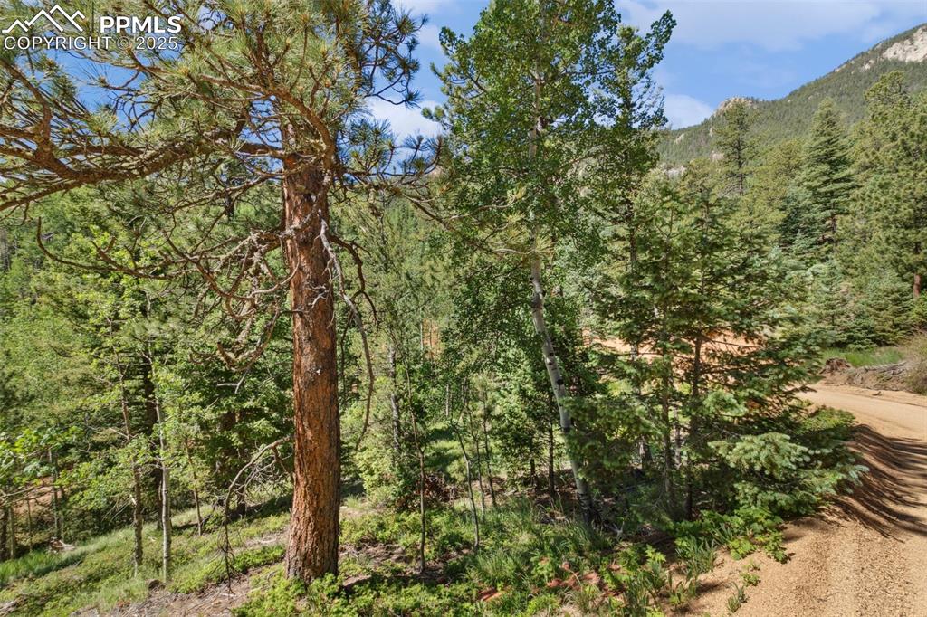 6050 Coffee Pot Road Manitou Springs CO 80829