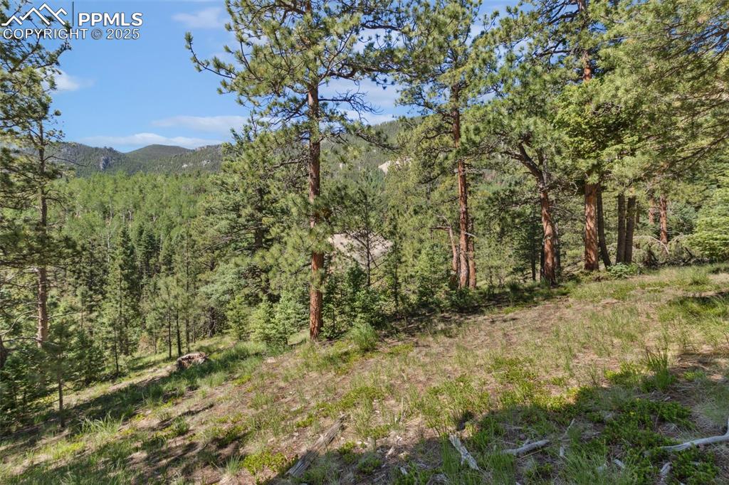 6050 Coffee Pot Road Manitou Springs CO 80829