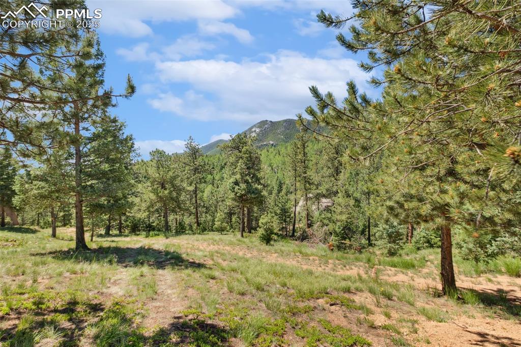 6050 Coffee Pot Road Manitou Springs CO 80829