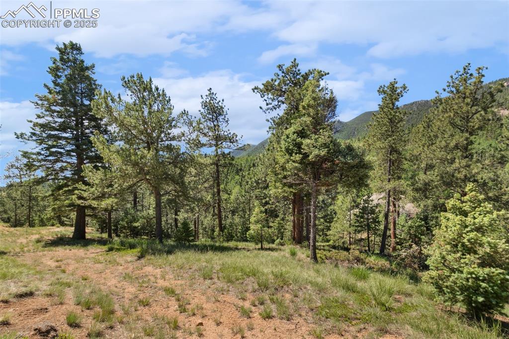 6050 Coffee Pot Road Manitou Springs CO 80829