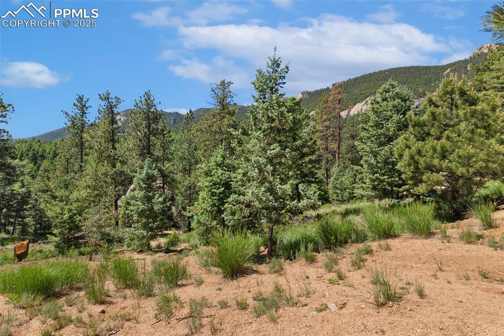 6050 Coffee Pot Road Manitou Springs CO 80829