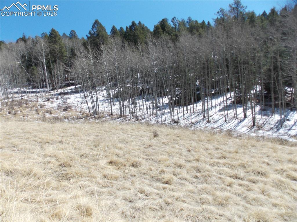 388 Grey Eagle Drive Cripple Creek CO 80813
