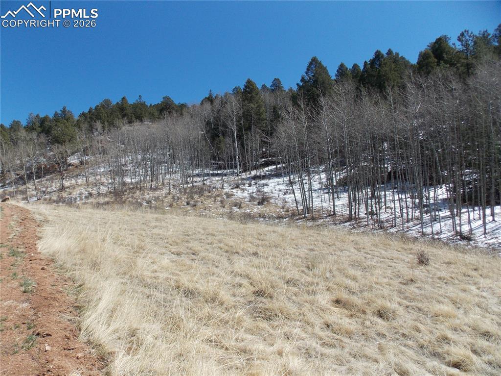 388 Grey Eagle Drive Cripple Creek CO 80813