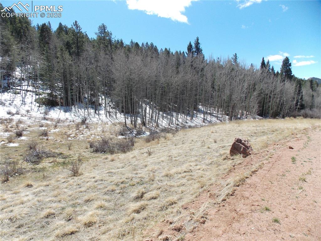 388 Grey Eagle Drive Cripple Creek CO 80813