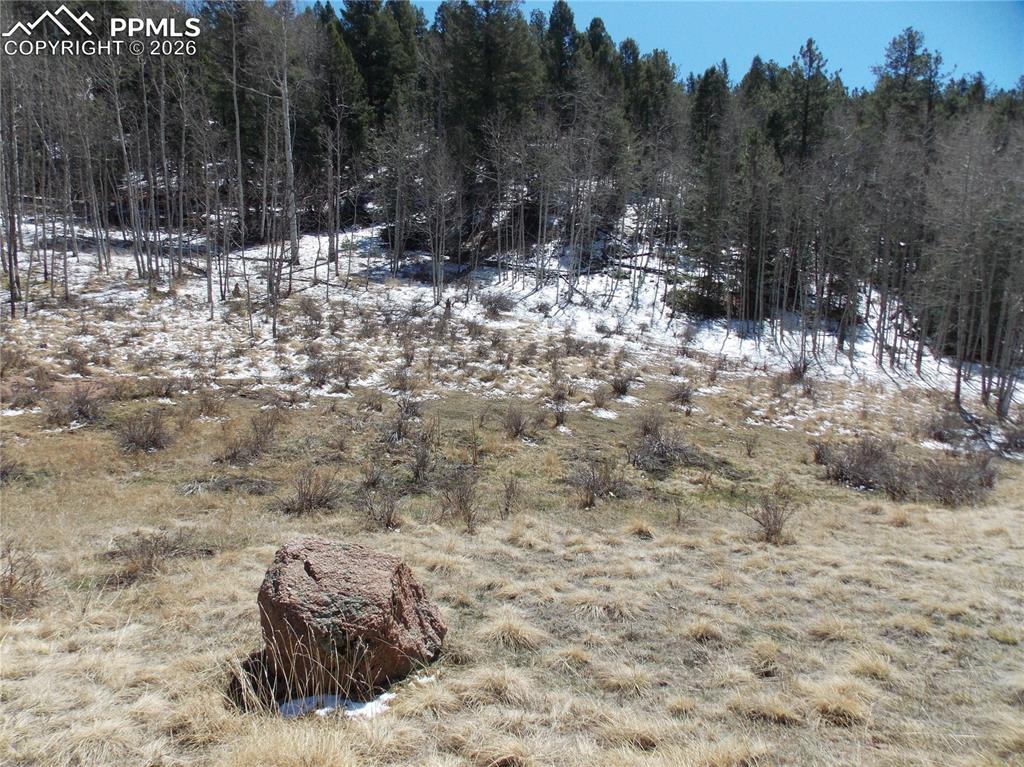 388 Grey Eagle Drive Cripple Creek CO 80813