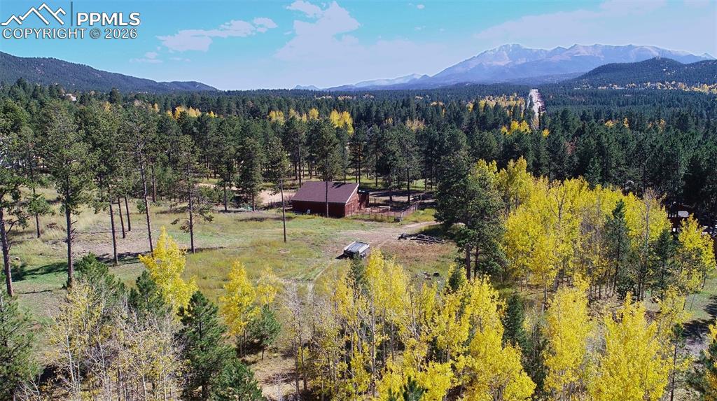210 Bridlewood Lane Woodland Park CO 80863