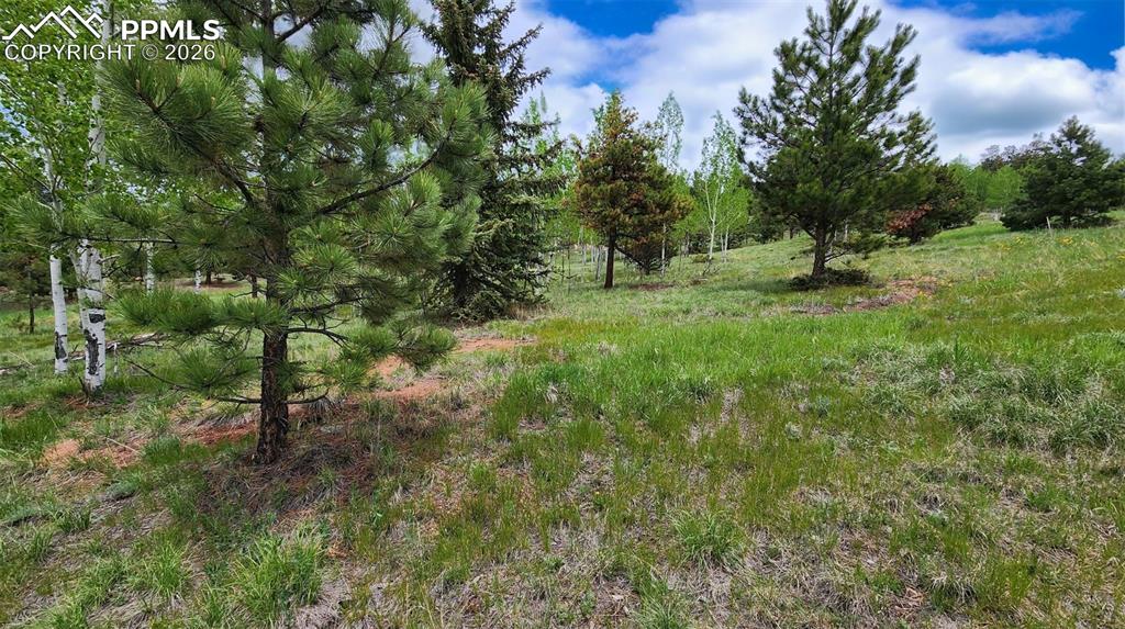 210 Bridlewood Lane Woodland Park CO 80863
