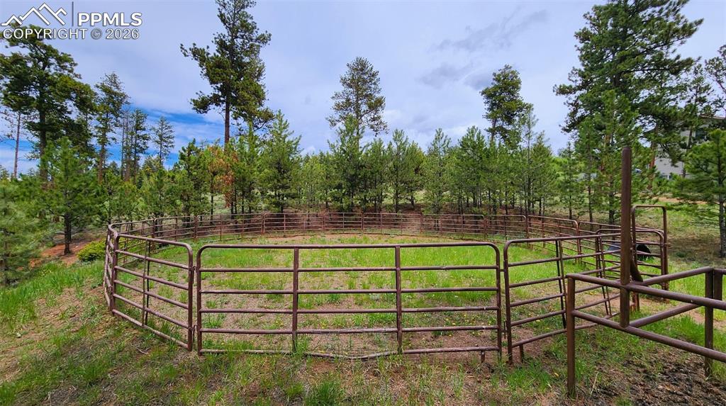 210 Bridlewood Lane Woodland Park CO 80863