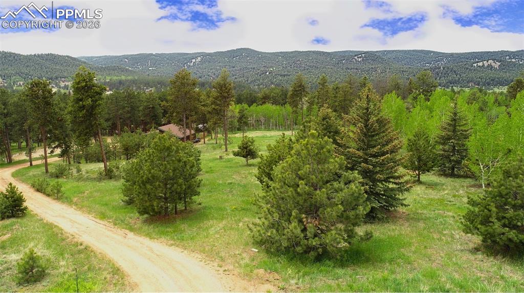 210 Bridlewood Lane Woodland Park CO 80863