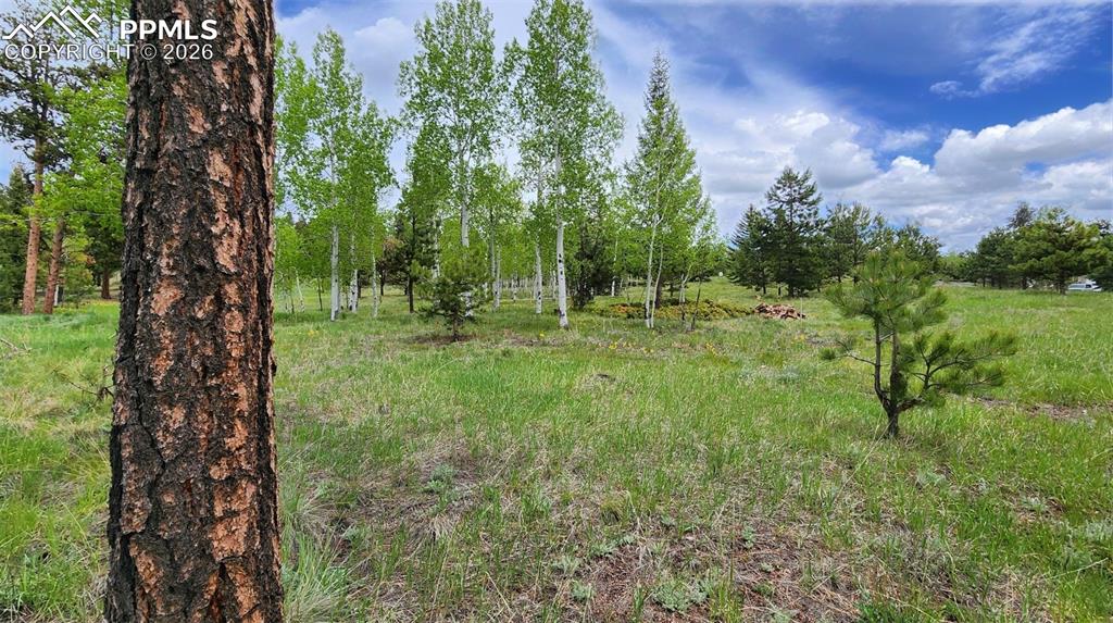 210 Bridlewood Lane Woodland Park CO 80863