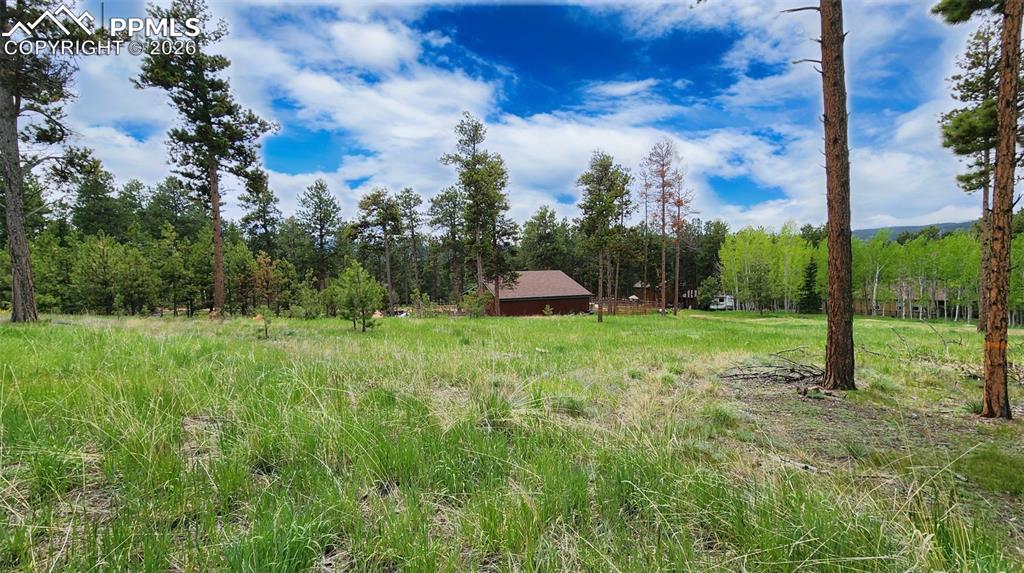 210 Bridlewood Lane Woodland Park CO 80863