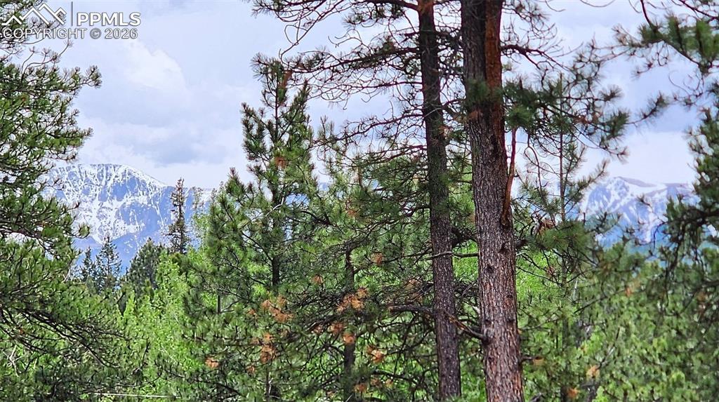 210 Bridlewood Lane Woodland Park CO 80863