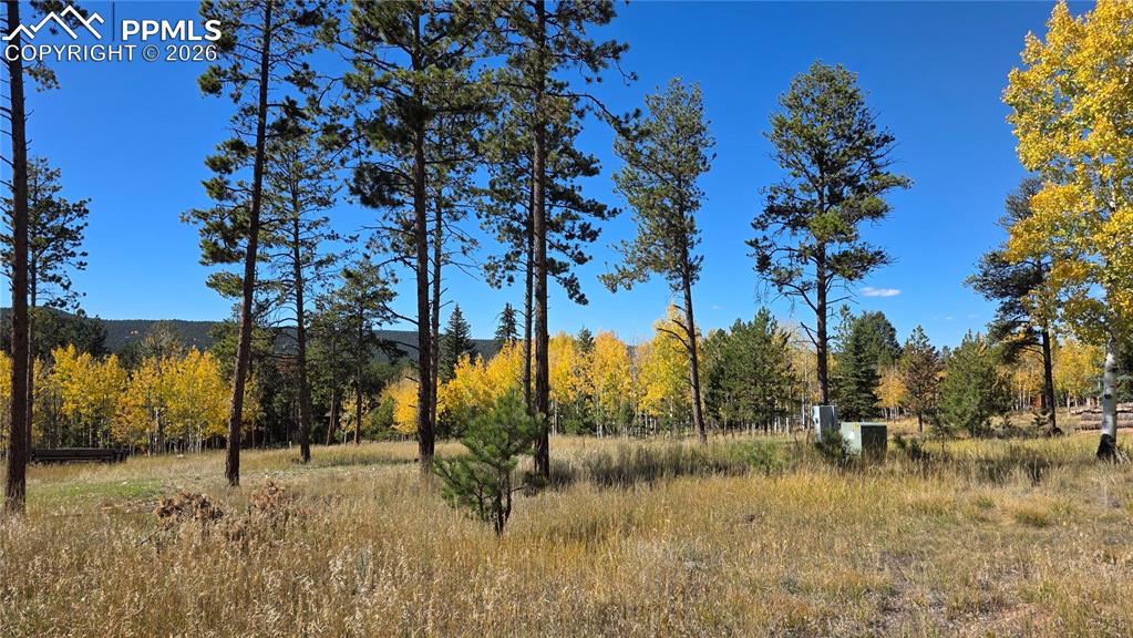 210 Bridlewood Lane Woodland Park CO 80863