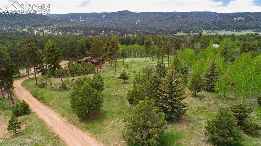 210 Bridlewood Lane Woodland Park CO 80863