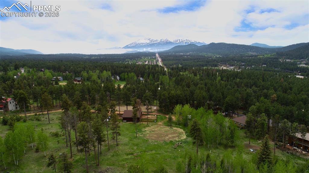 210 Bridlewood Lane Woodland Park CO 80863