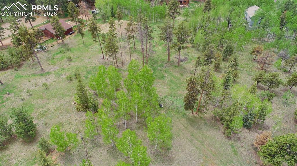 210 Bridlewood Lane Woodland Park CO 80863
