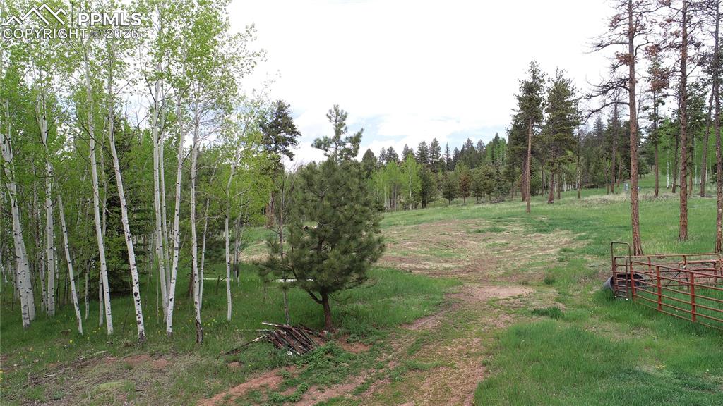 210 Bridlewood Lane Woodland Park CO 80863