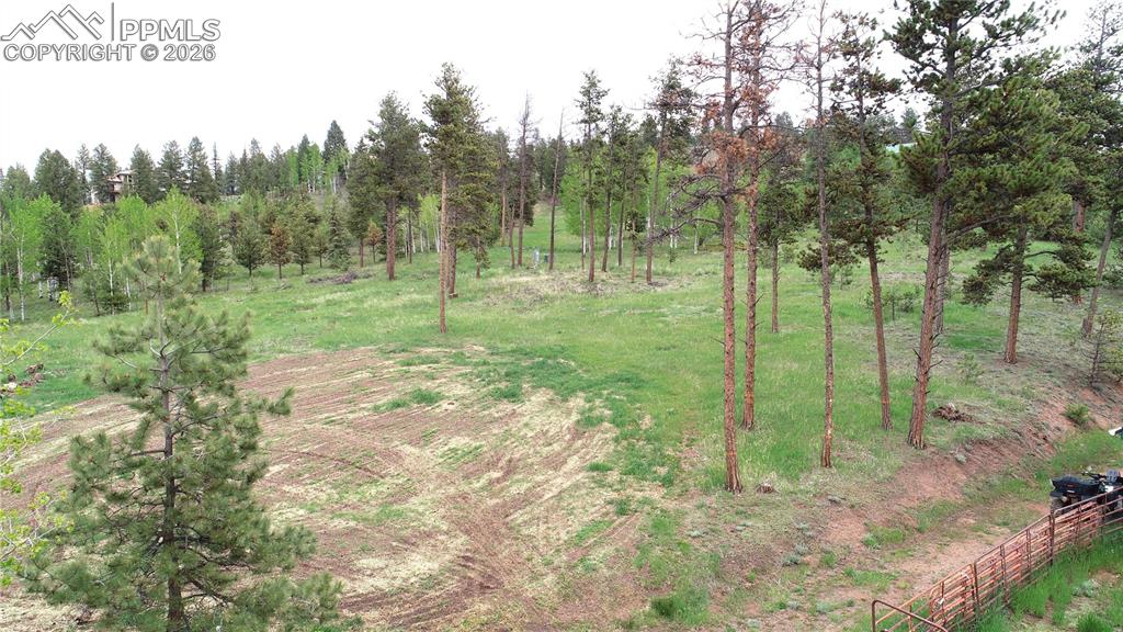 210 Bridlewood Lane Woodland Park CO 80863