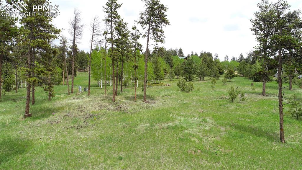 210 Bridlewood Lane Woodland Park CO 80863