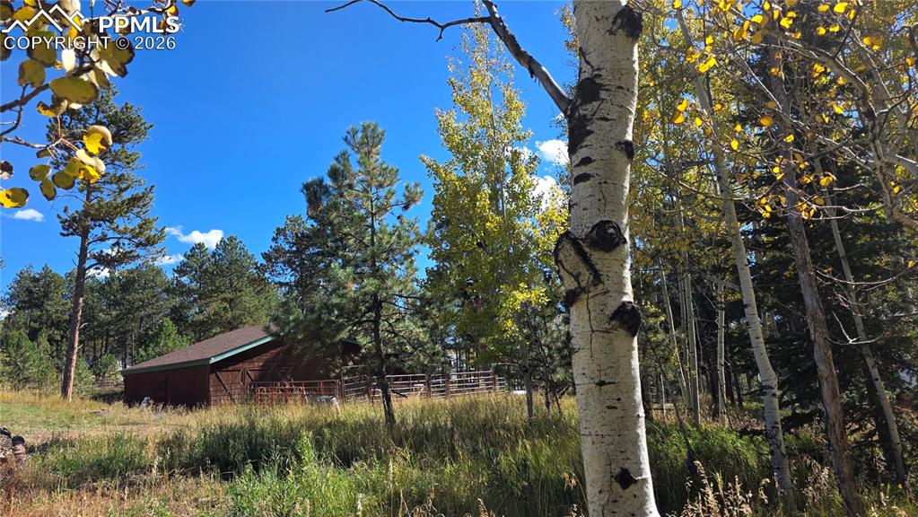 210 Bridlewood Lane Woodland Park CO 80863