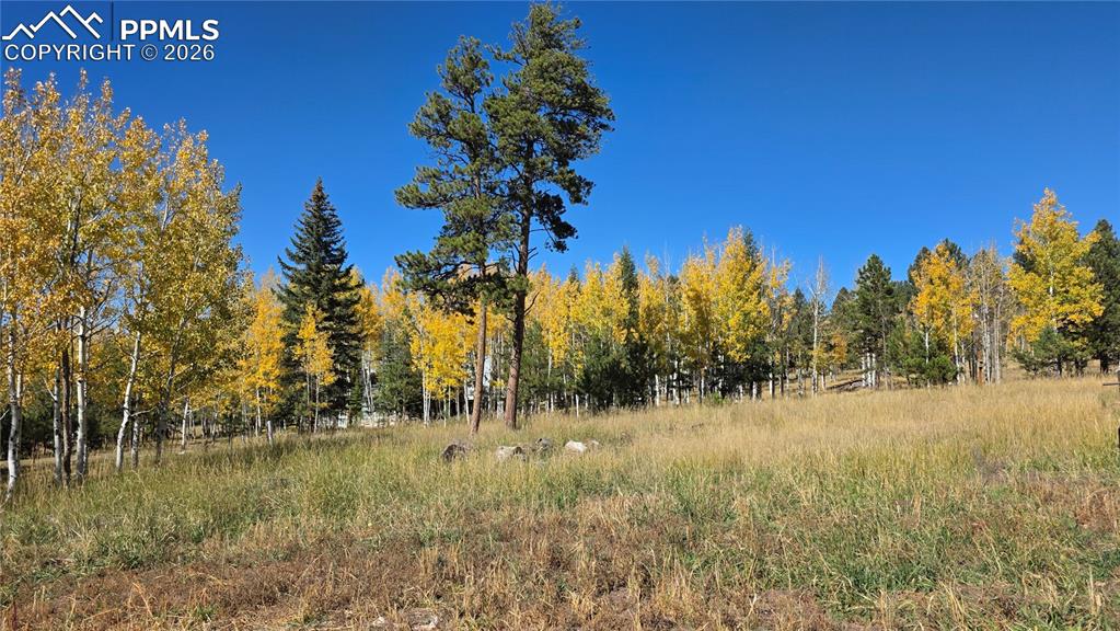 210 Bridlewood Lane Woodland Park CO 80863