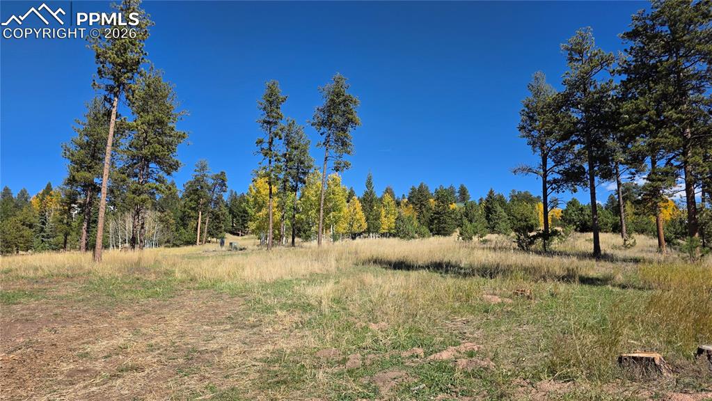 210 Bridlewood Lane Woodland Park CO 80863
