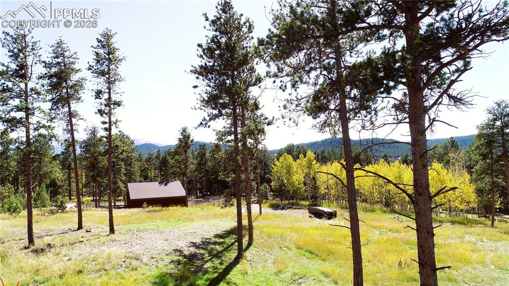 210 Bridlewood Lane Woodland Park CO 80863