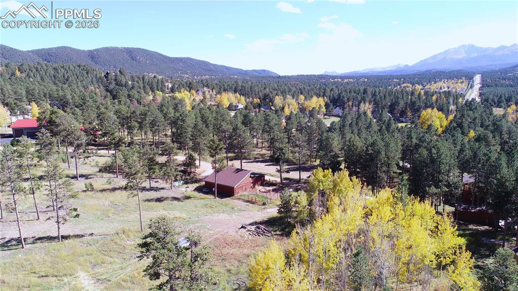 210 Bridlewood Lane Woodland Park CO 80863