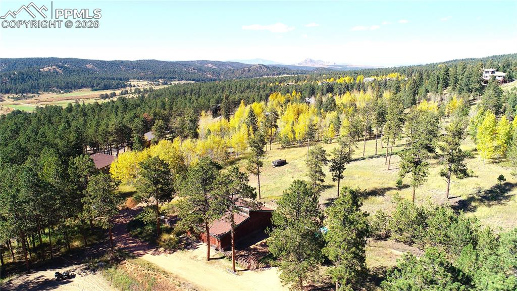 210 Bridlewood Lane Woodland Park CO 80863