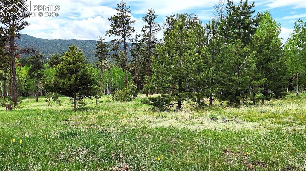 210 Bridlewood Lane Woodland Park CO 80863