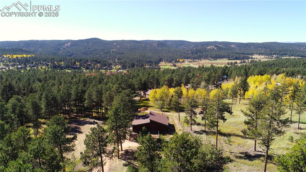 210 Bridlewood Lane Woodland Park CO 80863
