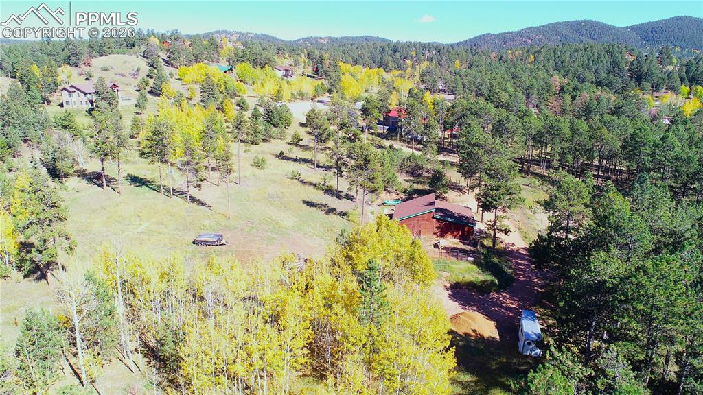210 Bridlewood Lane Woodland Park CO 80863