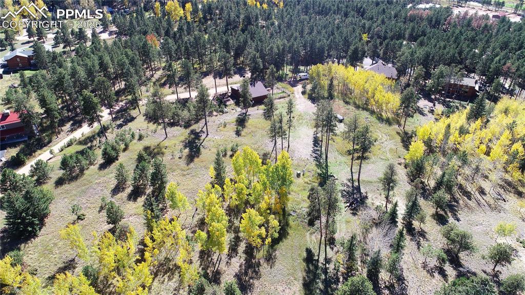 210 Bridlewood Lane Woodland Park CO 80863