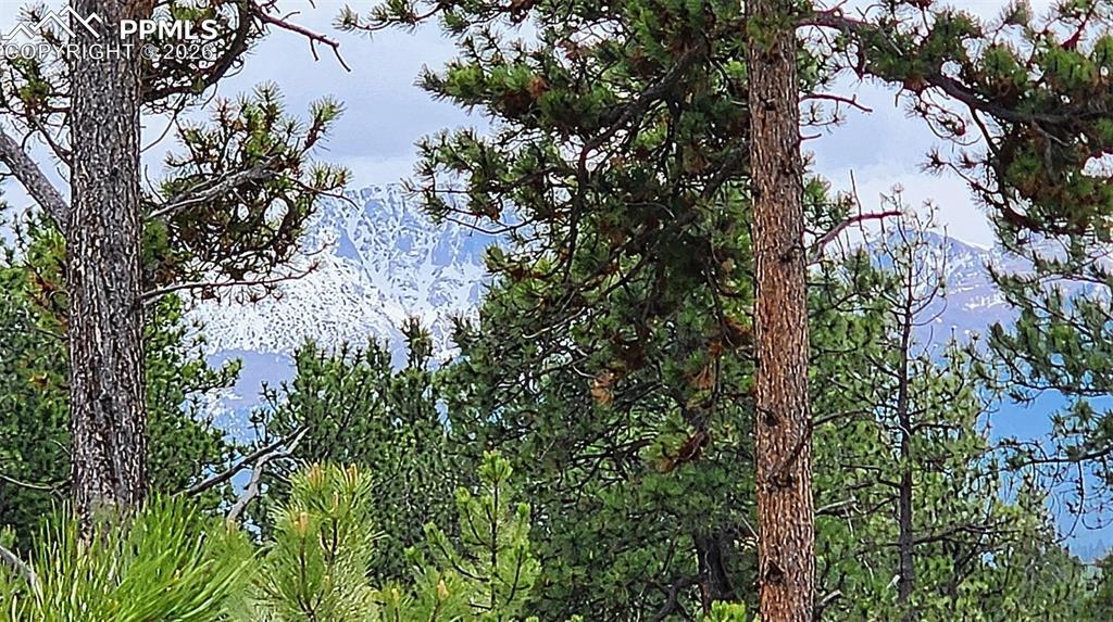 210 Bridlewood Lane Woodland Park CO 80863